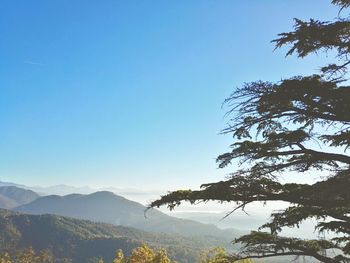 Scenic view of landscape against clear blue sky