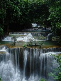 Scenic view of waterfall in forest