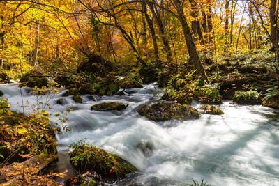 Stream flowing through rocks in forest during autumn