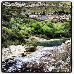 Stream flowing through rocks