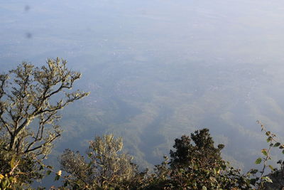 High angle view of trees by lake against sky