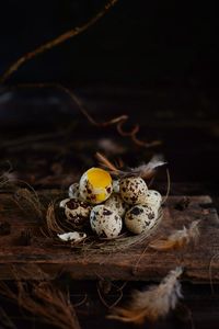 Close-up of eggs in nest