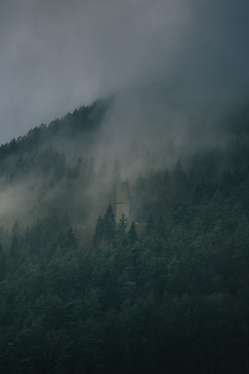 SCENIC VIEW OF FOG OVER LAND