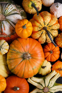 Full frame shot of pumpkins