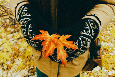 Close-up of hand holding maple leaf