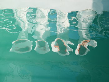 Close-up of ice cubes in water