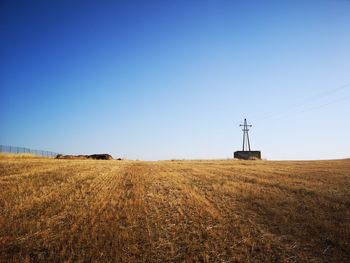 Scenic view of agricultural field against clear sky