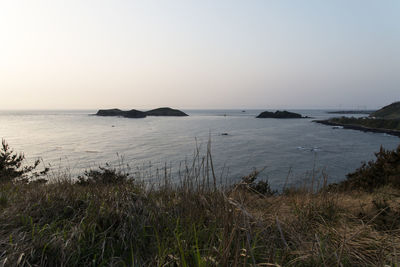 Scenic view of sea against clear sky