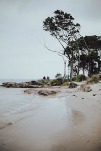 Scenic view of beach against clear sky