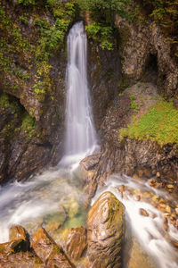 Scenic view of waterfall in forest