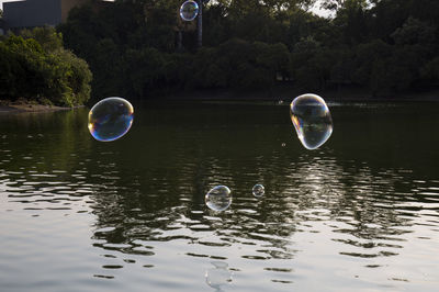 Close-up of bubbles in lake