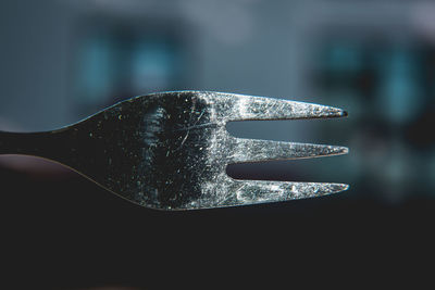 Close-up of fork