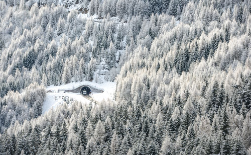 Scenic view of snow covered landscape