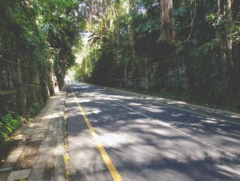 Empty road along trees in forest