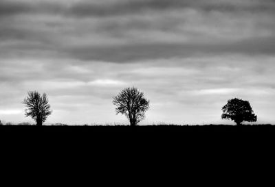 Silhouette trees on field against sky