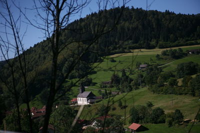 Trees and houses on field by mountain