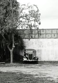 Cars parked in front of building