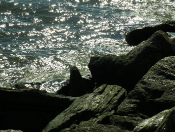 Rocks in sea