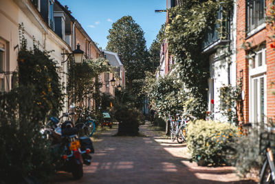 People walking on street in city