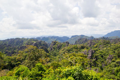 Scenic view of trees and mountains against sky