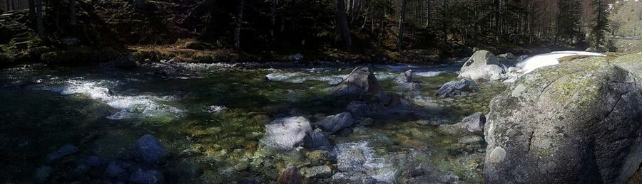 Stream flowing through rocks in forest