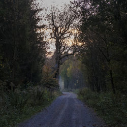 Road amidst trees in forest during autumn