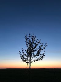 Silhouette tree on field against clear sky at sunset