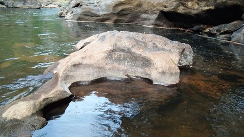 High angle view of rocks in water