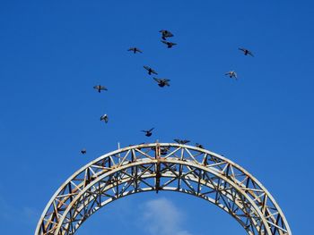 Low angle view of birds flying against blue sky