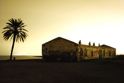 Palm trees at sunset
