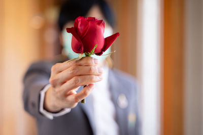 Close-up of hand holding red rose