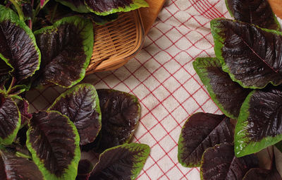 High angle view of leaves in basket on table