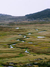 Scenic view of grassy field against sky