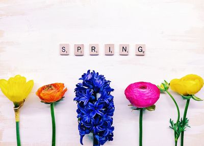 Close-up of various flowers on table