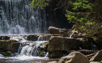 Scenic view of waterfall in forest