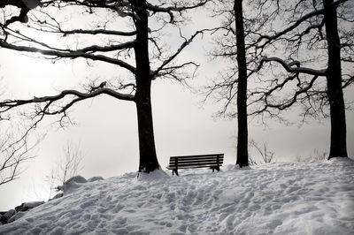 Empty bench on snow covered field during winter