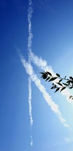 Low angle view of vapor trail in sky