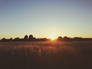 Scenic view of landscape at sunset