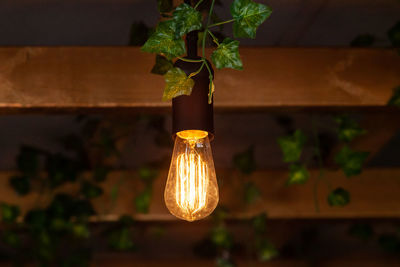 Close-up of illuminated light bulb hanging against wall at night