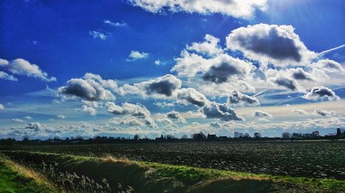 Scenic view of field against sky