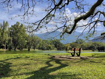 Nature view at taiping lake garden