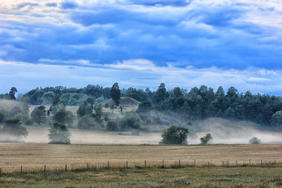 Scenic view of farm against sky
