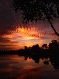 Scenic view of silhouette trees against sky during sunset