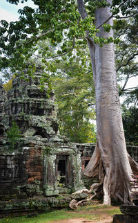 Low angle view of temple
