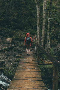 Rear view of woman crossing footbridge