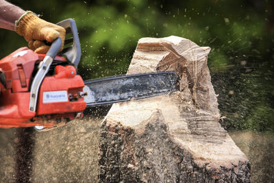 Cropped hand of man sawing tree at forest