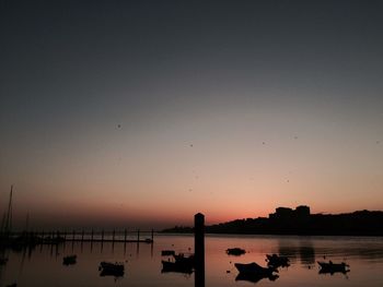 Silhouette birds on sea against clear sky during sunset