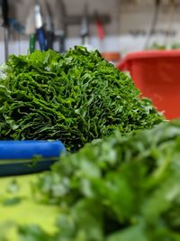 Close-up of chopped vegetables for sale in market