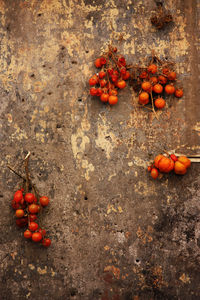 Close-up of cherries