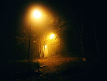 night